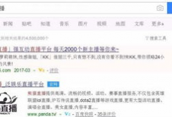 91直播房间密码,揭秘房间密码背后的精彩世界