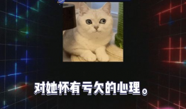 娱乐圈游戏吃瓜,游戏吃瓜，揭秘明星幕后故事