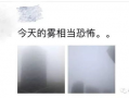 雾中人,探寻迷雾中的生命轨迹