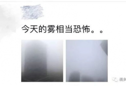雾中人,探寻迷雾中的生命轨迹