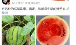 吃瓜娱乐圈瓜,揭秘明星们的甜蜜与苦涩瓜